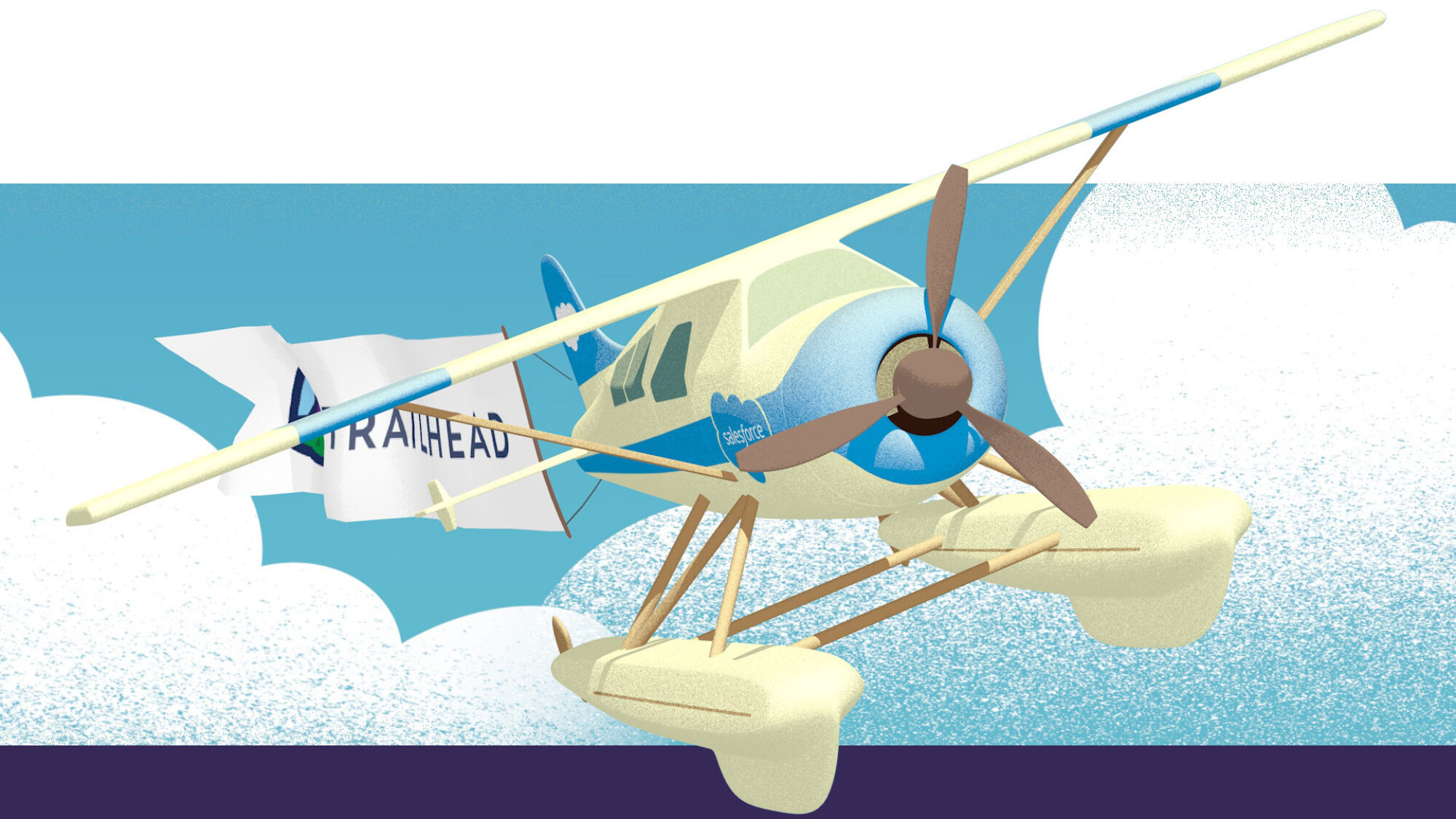 Salesforce wide banner 01